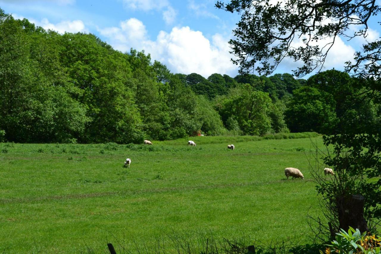 Holiday home Arrowwood Self Catering
